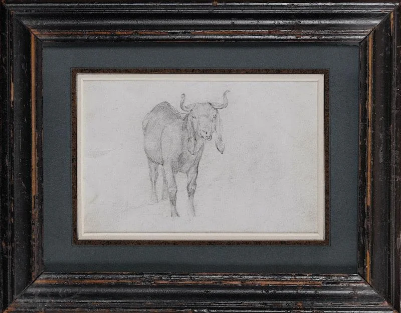 Sir Edwin Henry Landseer, R.A. - A long-eared goat