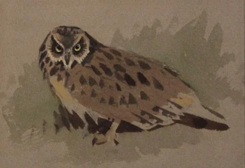 Archibald Thorburn