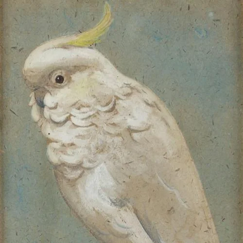 Henry Stacy Marks, R.A.