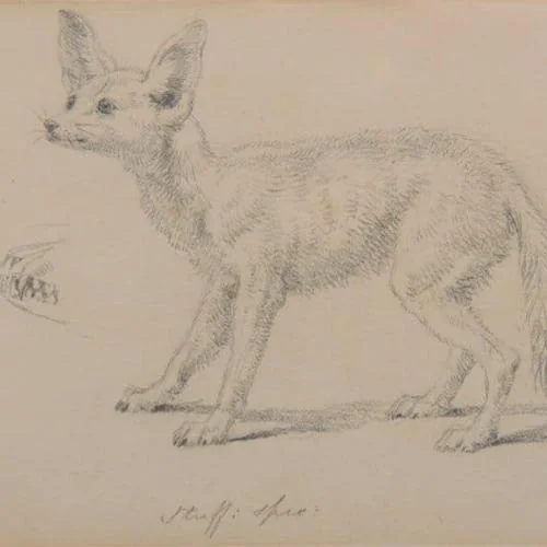Sir Edwin Henry Landseer, R.A.