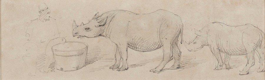 Alfred William Strutt - Young Arabian Rhinoceros
