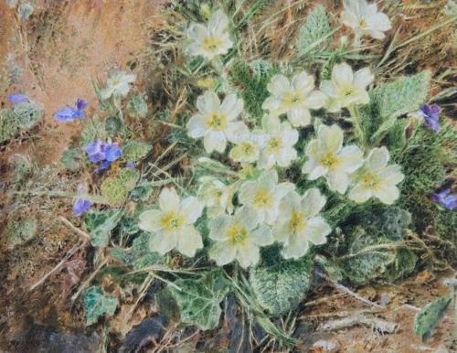 William Henry Hunt OWS