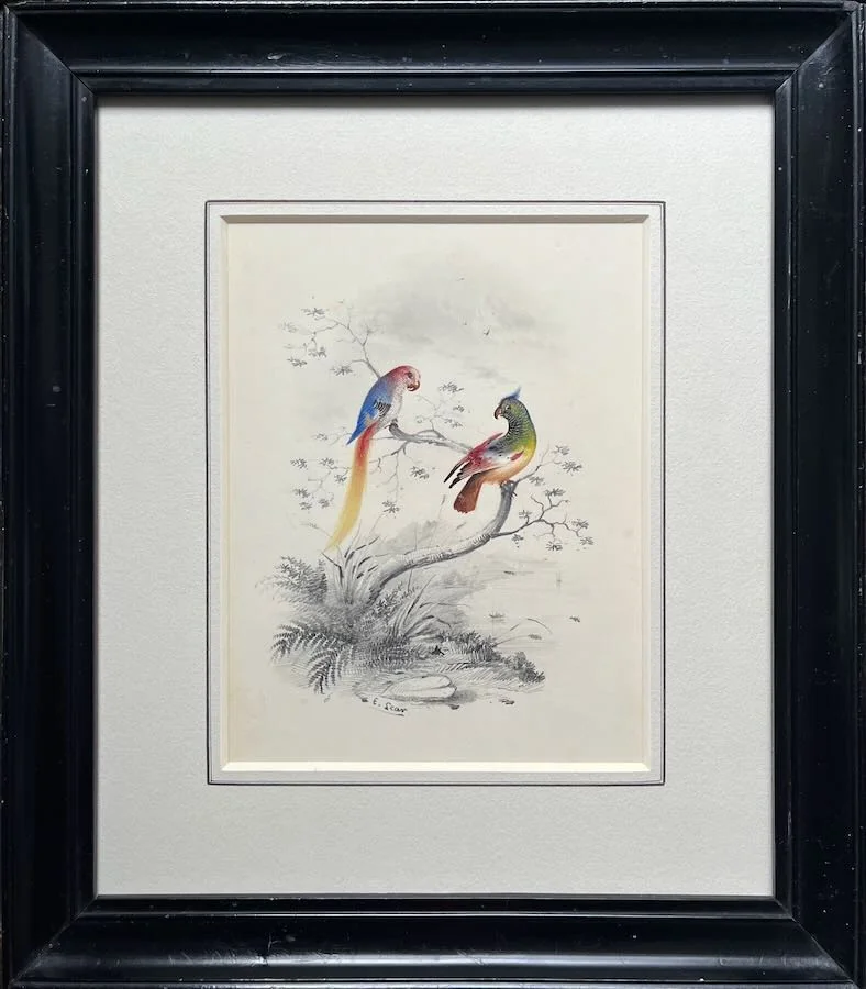 Edward Lear - Two parrots on a branch