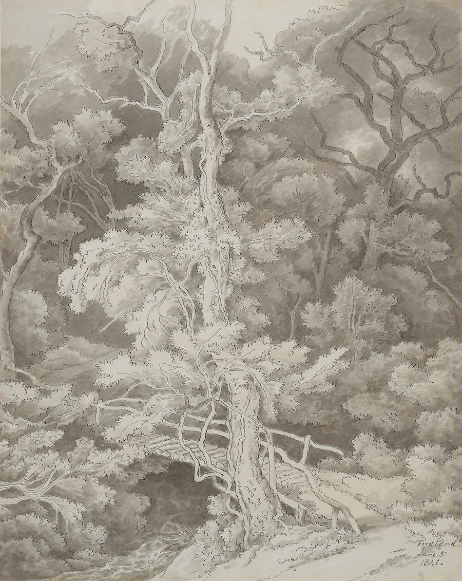 John White Abbott - Fordland, Devon