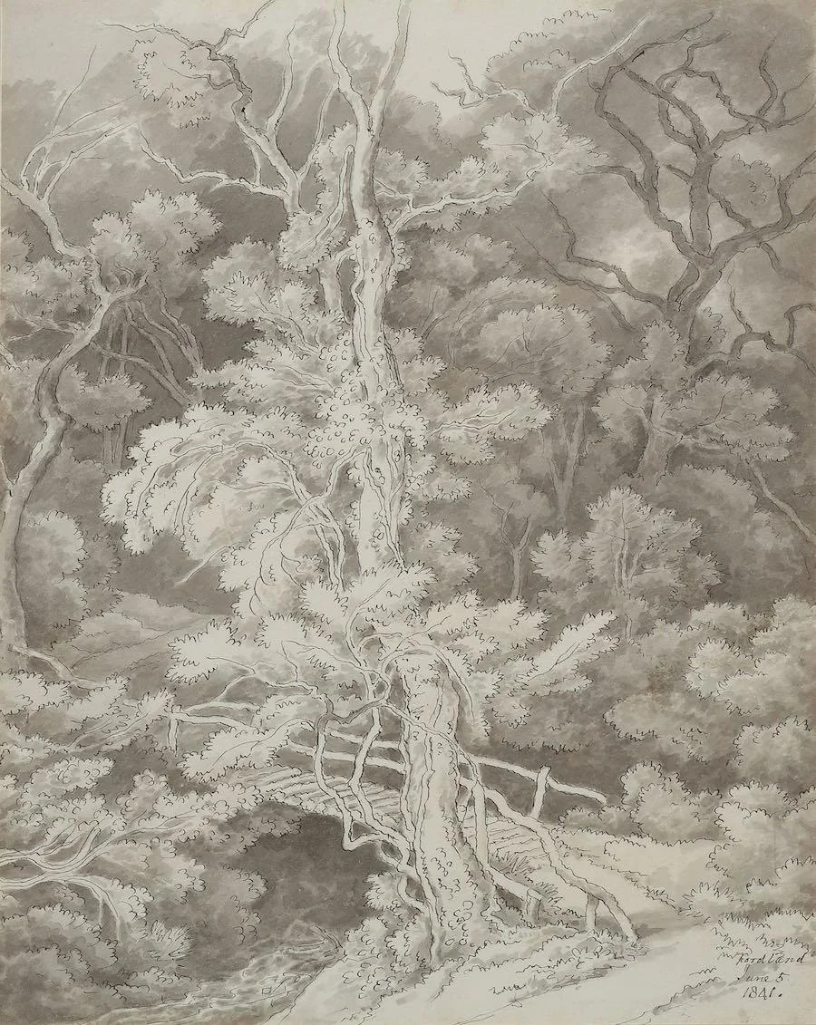 John White Abbott - Fordland, Devon
