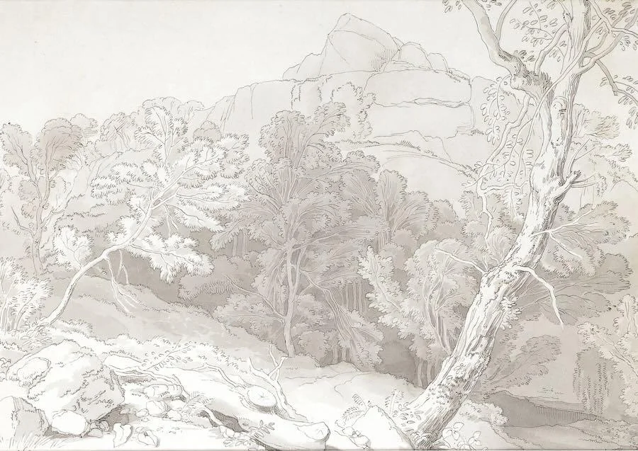 John White Abbott - Trees at Canonteign, Devon