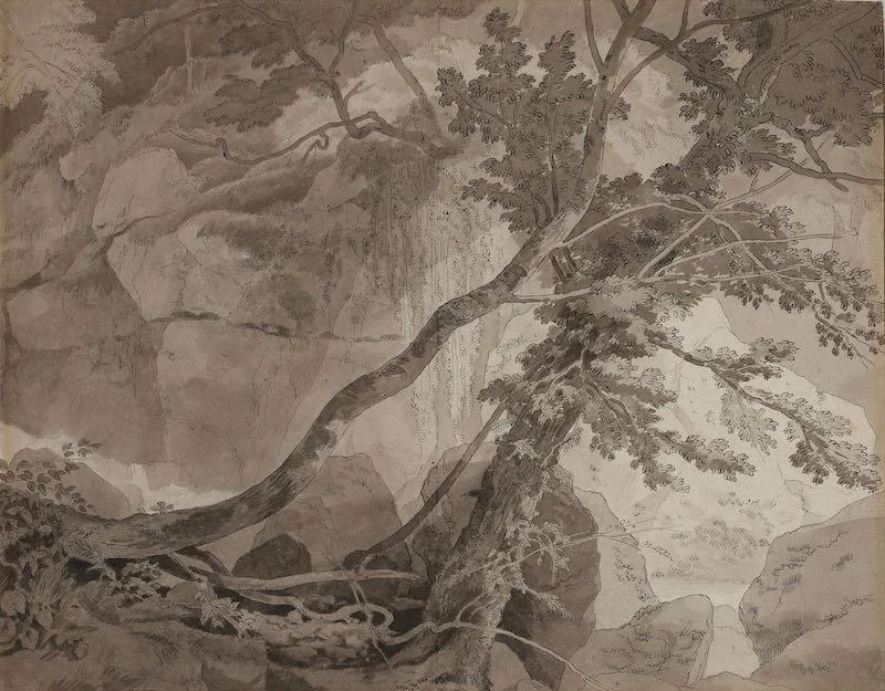John White Abbott - Trees in a rocky landscape, probably Peamore near Exeter, Devon