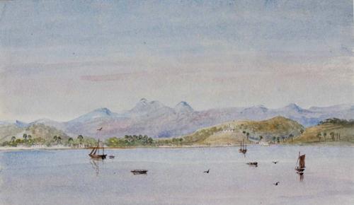 Apollonia Griffith (fl)