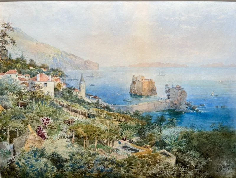 Nicholas Chevalier - Funchal, Madeira