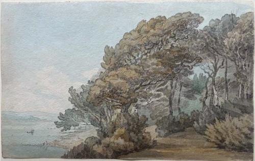 Nutwell: the grounds of Nutwell Court, Devon