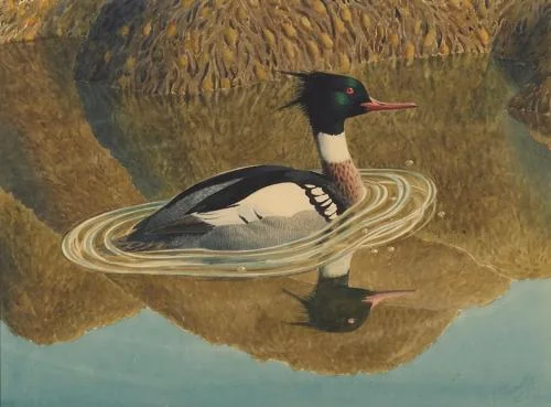 Charles Frederick Tunnicliffe, OBE, RA