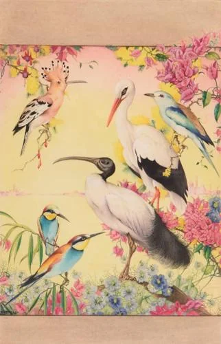 Edward Julius Detmold (British)