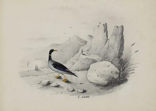 Edward Lear
