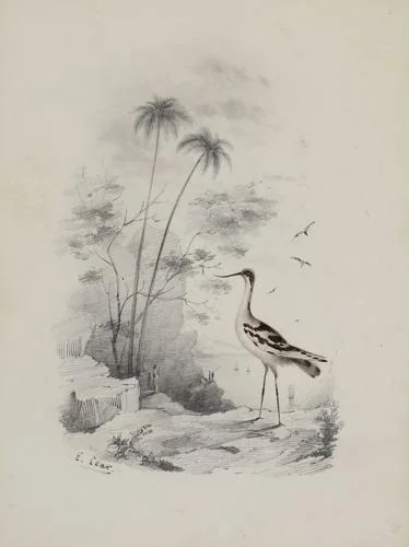 Edward Lear