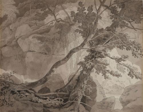 Trees in a rocky landscape, probably Peamore near Exeter, Devon