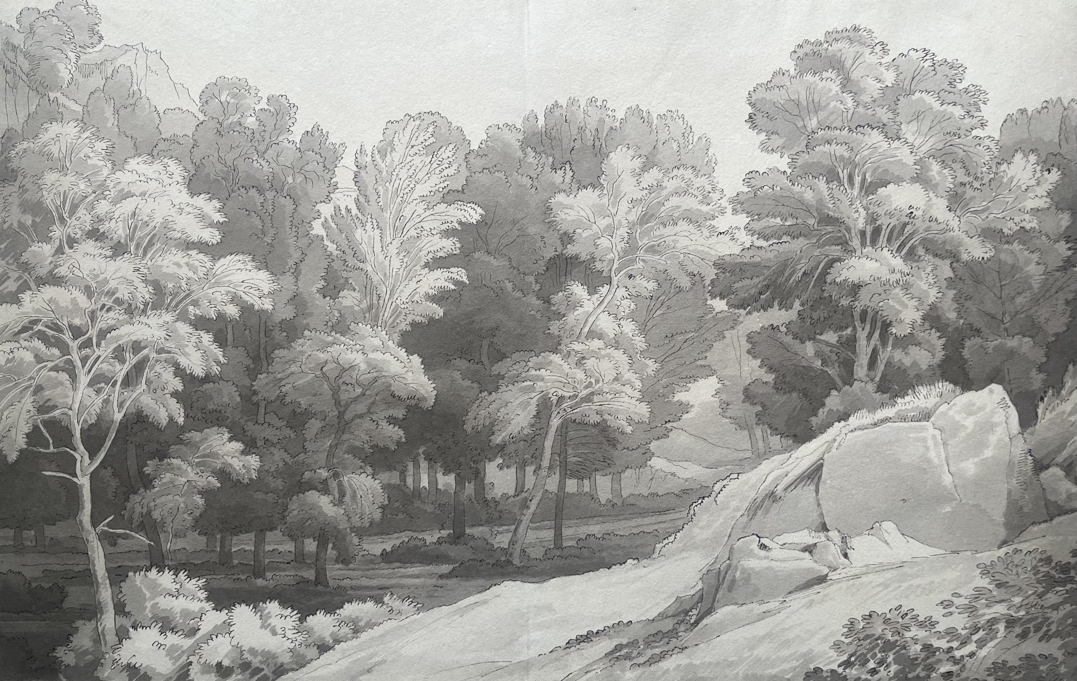 John White Abbott - Trees, Kerswell, Devon