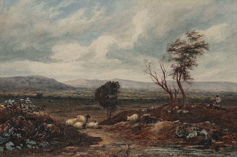 Joseph Murray Ince - View in Radnorshire, Wales