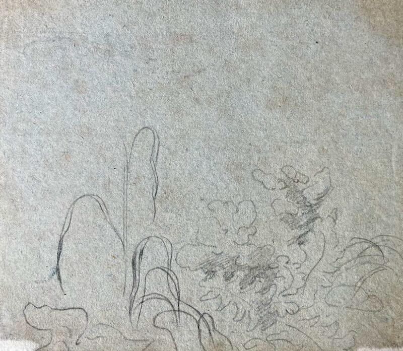 Villa Negroni, Rome - Image