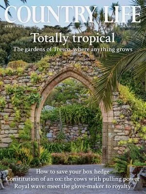 Country Life magazine cover, January 2025