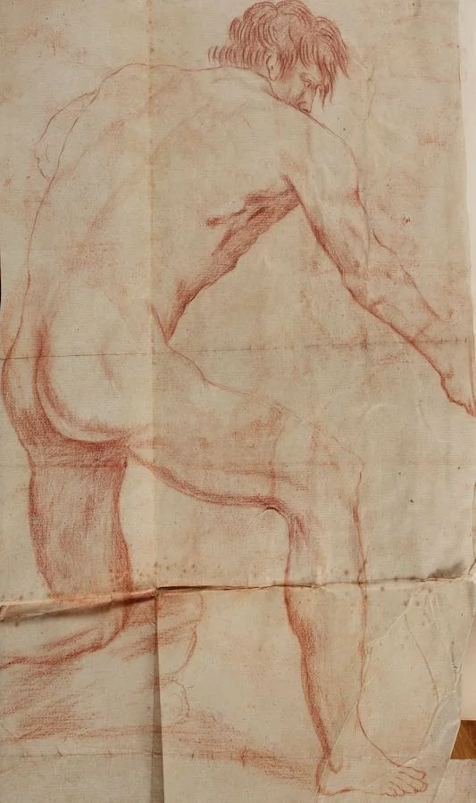Sarah Stone, male nude study from behind, from the vellum-bound album
