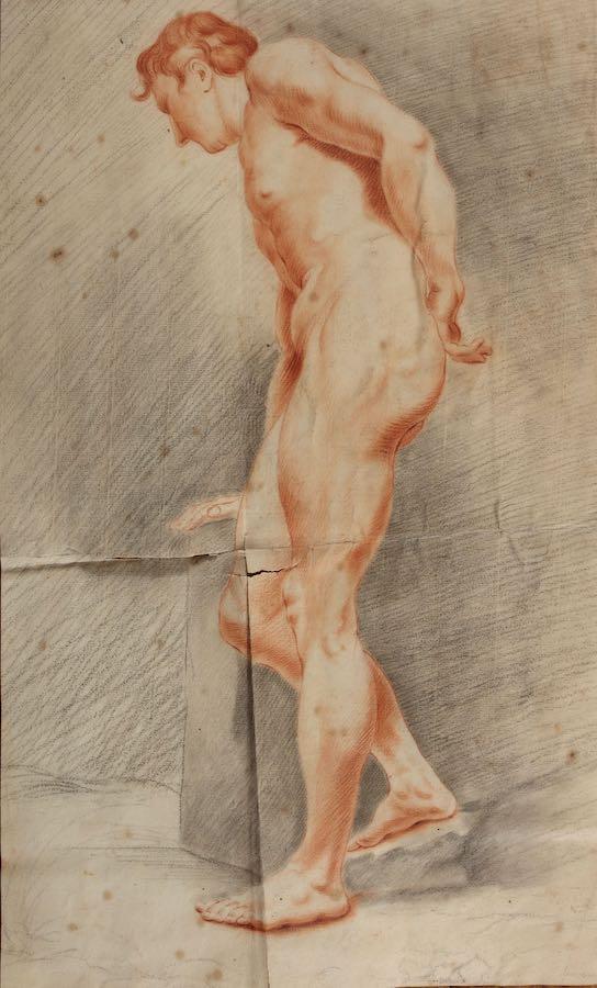 Sarah Stone - An album of early works including portraits, vegetables, flowers, studies of hands, feet and facial features, male figure studies drawn from life and spiders, c. 1772-3