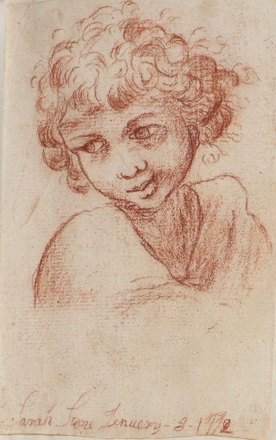 Sarah Stone - An album of early works including portraits, vegetables, flowers, studies of hands, feet and facial features, male figure studies drawn from life and spiders, c. 1772-3