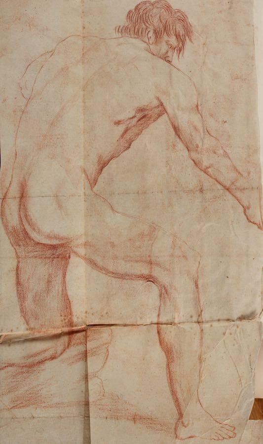 Sarah Stone - An album of early works including portraits, vegetables, flowers, studies of hands, feet and facial features, male figure studies drawn from life and spiders, c. 1772-3