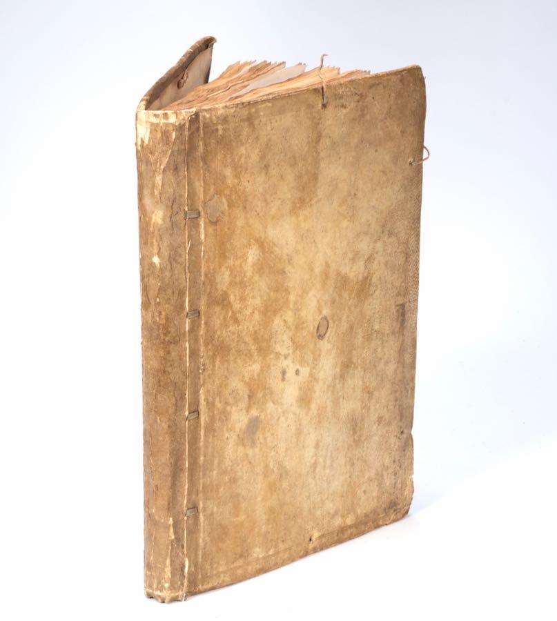 Sarah Stone - An album of early works including portraits, vegetables, flowers, studies of hands, feet and facial features, male figure studies drawn from life and spiders, c. 1772-3