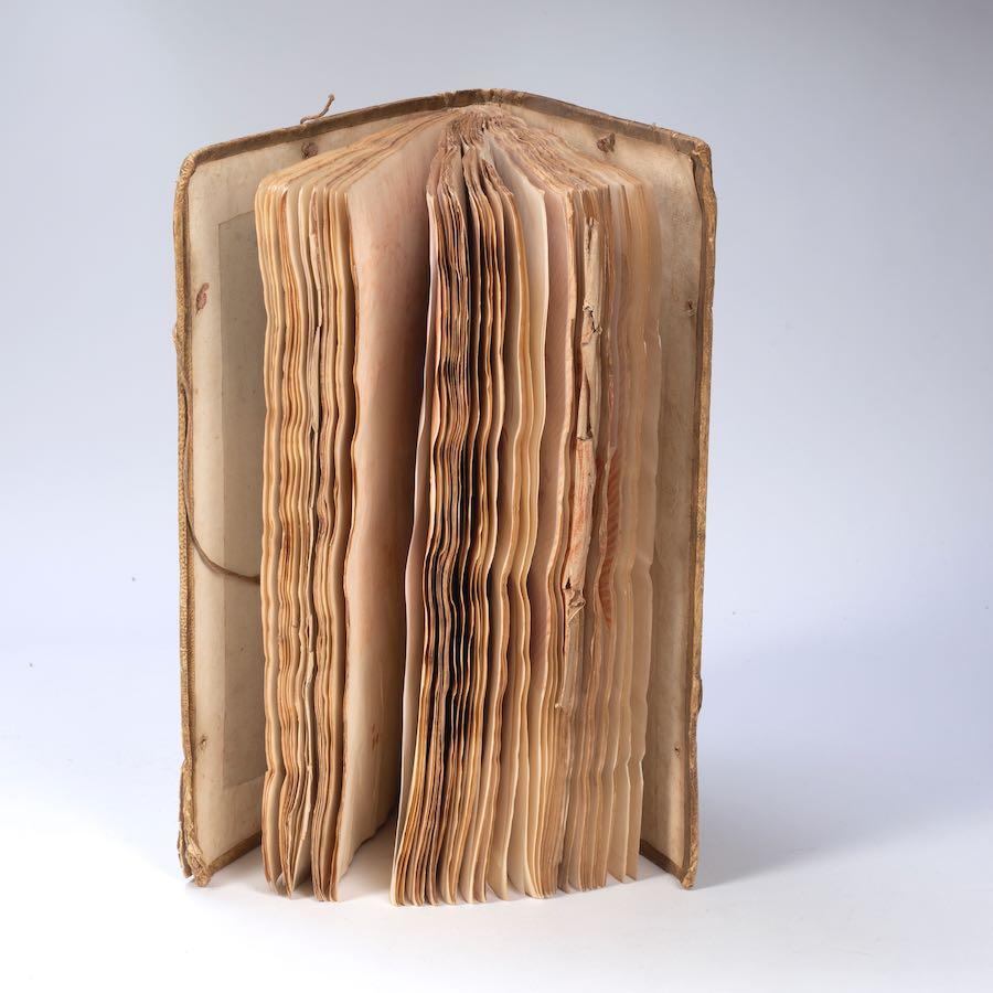 Sarah Stone - An album of early works including portraits, vegetables, flowers, studies of hands, feet and facial features, male figure studies drawn from life and spiders, c. 1772-3