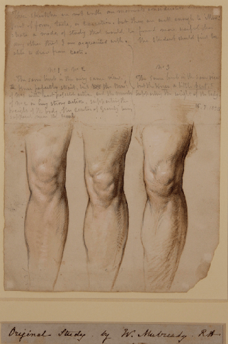 A sheet of knee studies