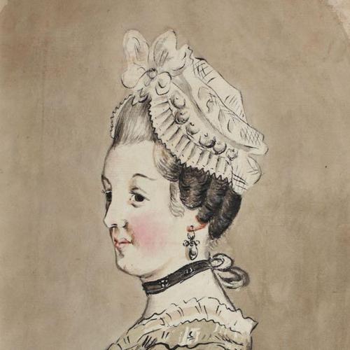 {'en': 'An album of early works including portraits, vegetables, flowers, studies of hands, feet and facial features, male figure studies drawn from life and spiders, c. 1772-3'}