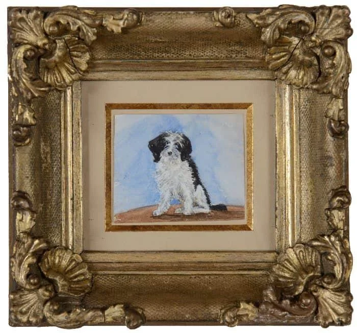 Lady Emily Dundas - A black and white dog