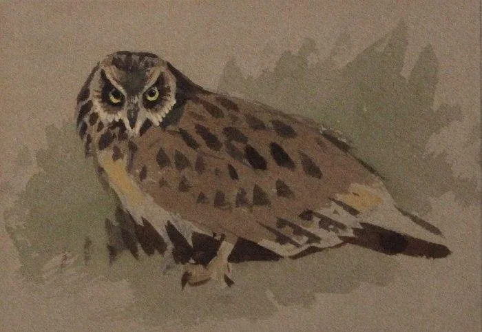 Portrait of Archibald Thorburn