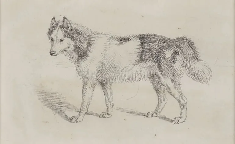 Portrait of Sir Edwin Henry Landseer, R.A.