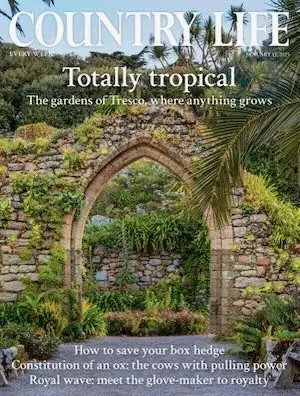Country Life magazine cover, January 2025