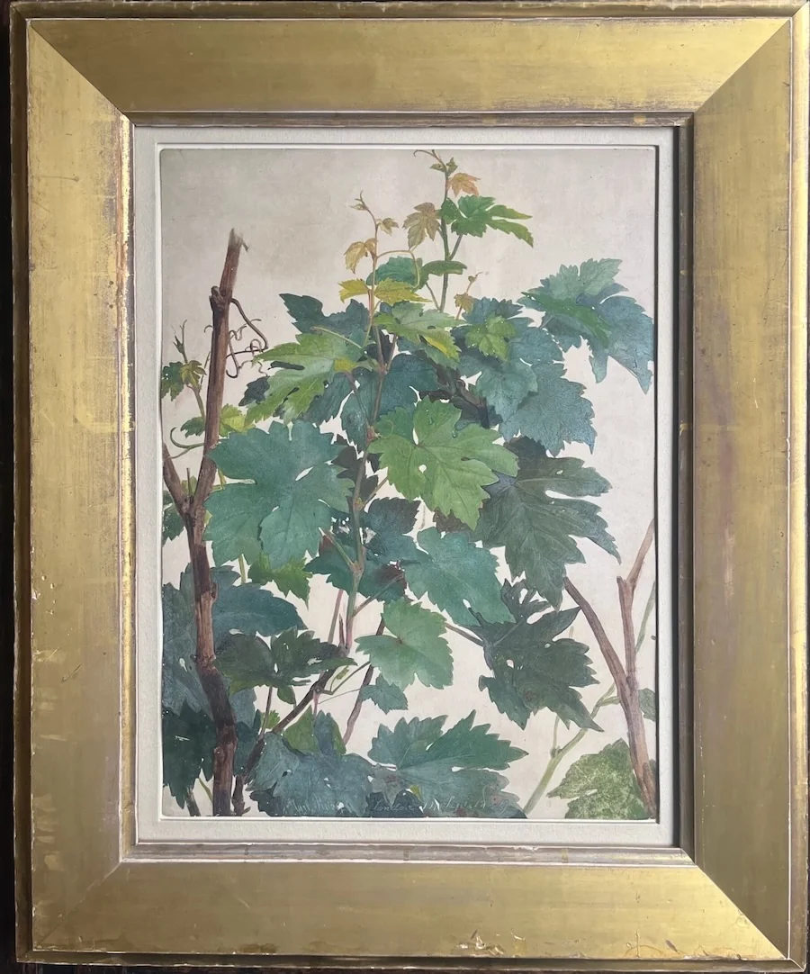 Carl Haag, R.W.S. - Study of Vine Leaves (Studie von Weinlaub)