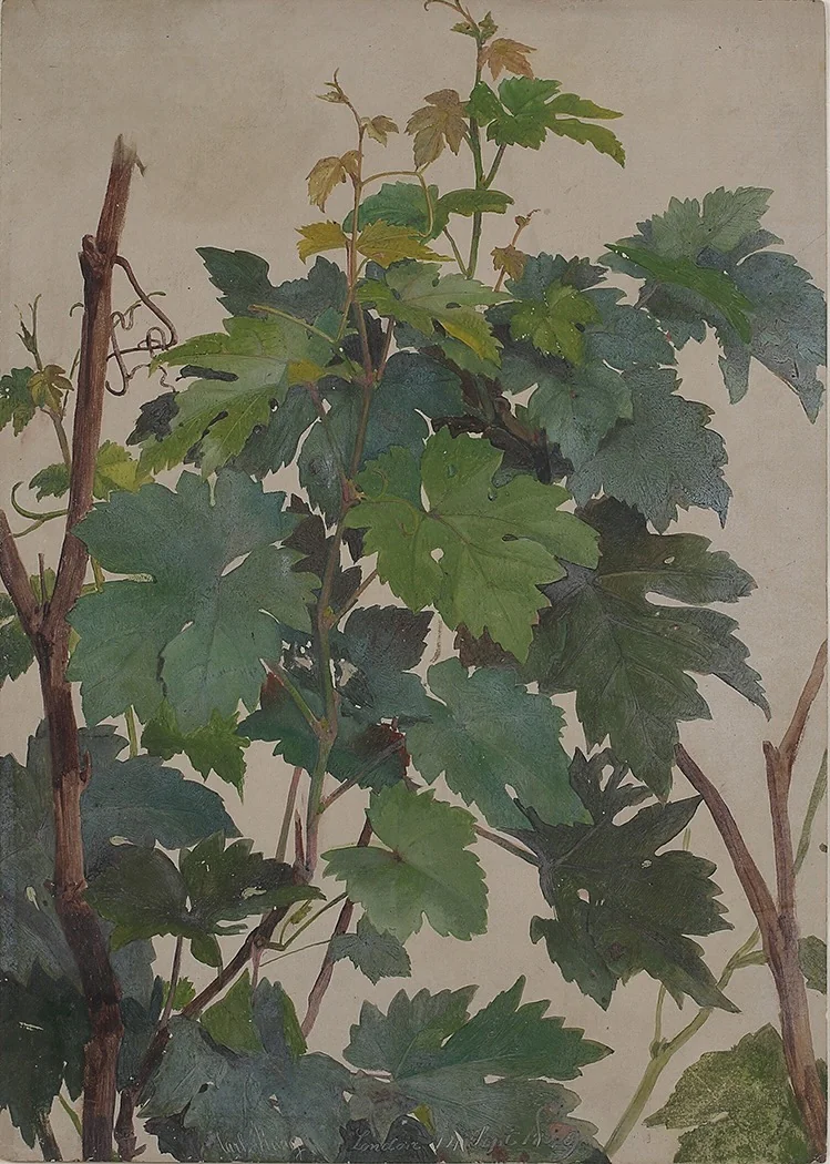 Carl Haag, R.W.S. - Study of Vine Leaves (Studie von Weinlaub)