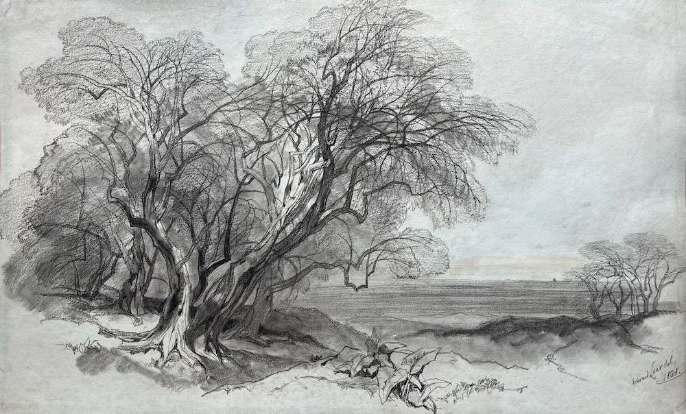 Edward Lear - Trees in a landscape, Italy