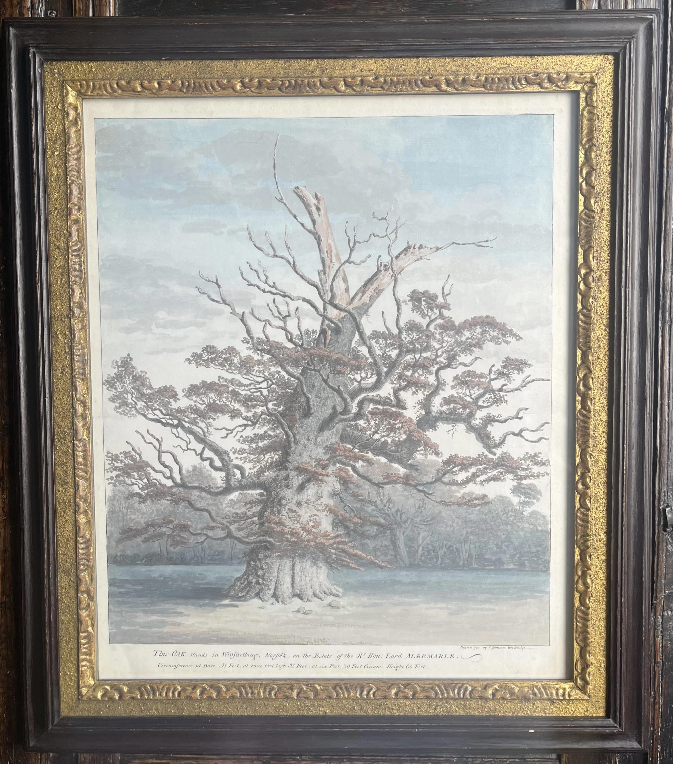 Isaac Johnson - An Oak, Winfarthing, Norfolk