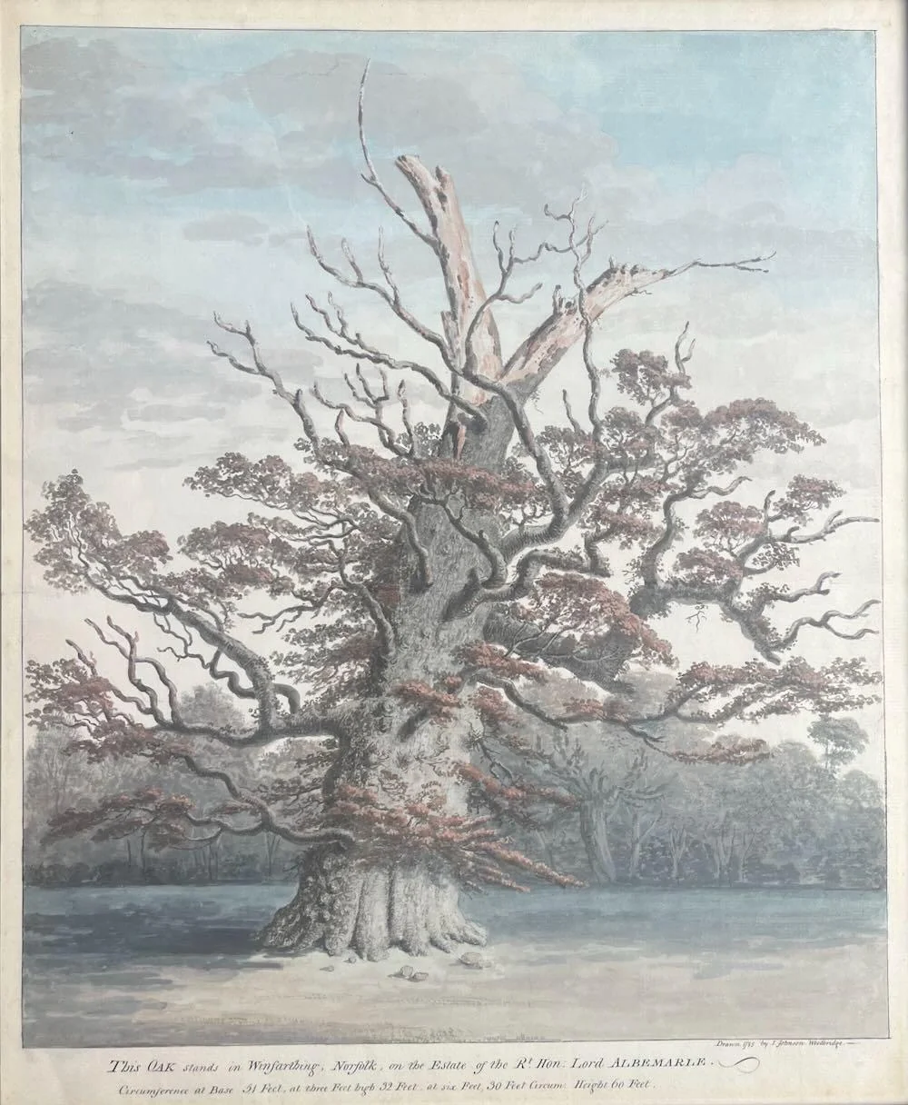 Isaac Johnson - An Oak, Winfarthing, Norfolk