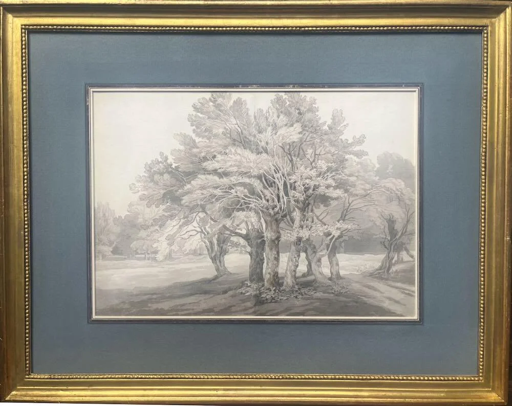 John White Abbott - Trees