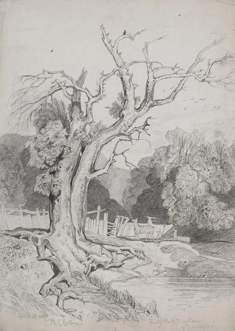 Miles Edmund Cotman - Raby Park, Durham