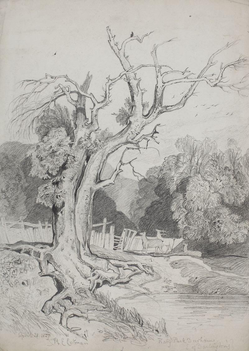 Miles Edmund Cotman - Raby Park, Durham