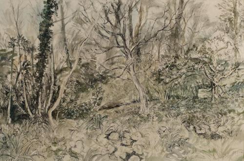 The Old Rectory garden, Litton Cheney, Dorset