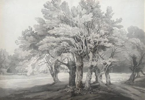 John White Abbott