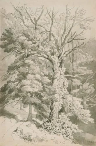 John White Abbott