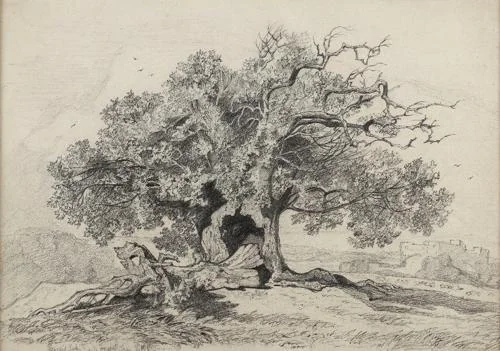 Miles Edmund Cotman