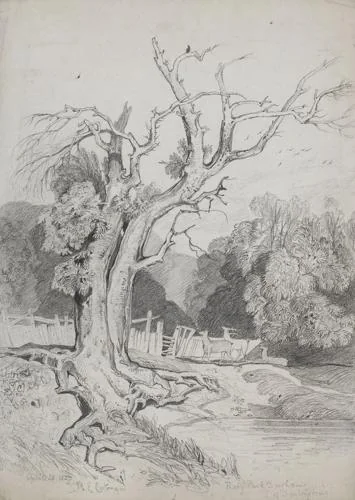 Miles Edmund Cotman