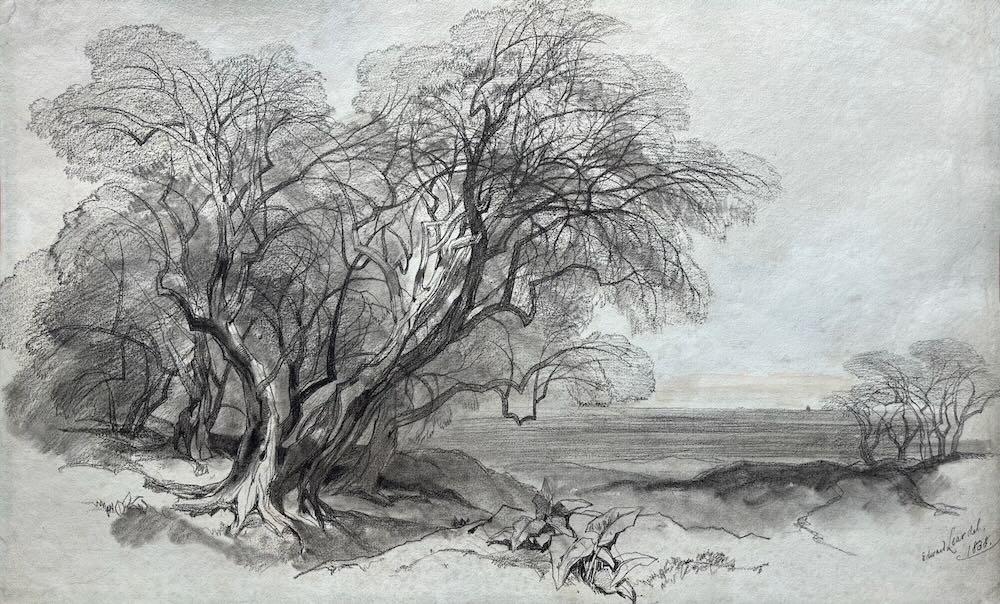 Trees in a landscape, Italy - Main image