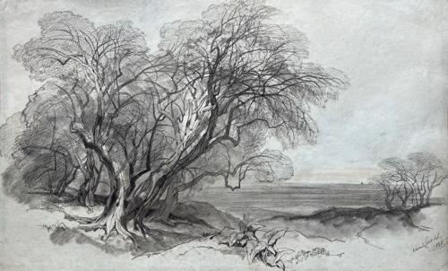 Trees in a landscape, Italy